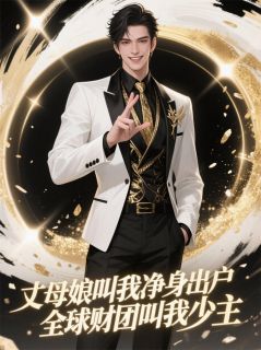 叶凡赵金花苏婉主角的小说完结版岳母逼我净身出户全球财团叫少主全集