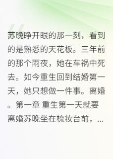 重生后离婚,前夫后悔来不及小说主角是苏晚陆景深全文完整版阅读-暗夜阅读网