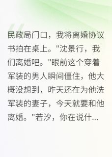 全章节小说军区首长慌了，妻子要离婚晚风细雨知我意最新阅读
