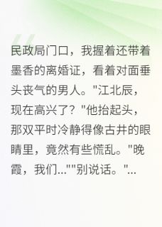 江北辰苏雅琴主角小说那场假离婚，成了我一生的遗憾抖音文免费阅读全文