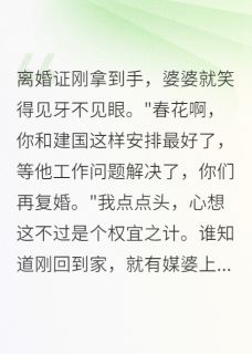 为救丈夫假离婚，却成全了别的人小说-王秀娟春花全篇阅读
