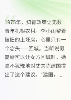 爆款小说由作者爱晒太阳的我所创作的回城假离婚,却栽在知青丈夫手里在线阅读