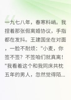 全网首发完整小说那年假离婚，我成了县里女强人主角小麦陈建军在线阅读
