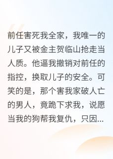 好看的儿子被抢，我给两代仇人复仇小说，主角傅言川贺临山最新章节阅读