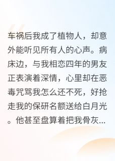 免费试读主角秦彦飞苏清芷小说