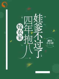 精彩小说嫁农家，四年抱八，娃爹不过了苏念齐砚全章节在线阅读-暗夜阅读网