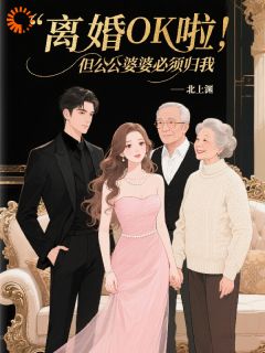 离婚OK啦，但公公婆婆必须归我小说在线阅读，主角宋金金陆砚川精彩段落最新篇
