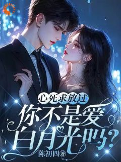 主人公宋锦傅盛衍小说心死求放过，你不是爱白月光吗？在线全文阅读