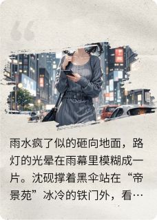 主角是沈砚林晚顾言风的小说叫什么我离场后，她再难翻身免费全文阅读
