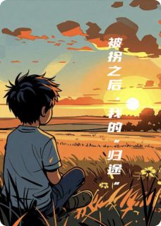 熬夜也要看完的被拐之后，我的“归途”小说推荐