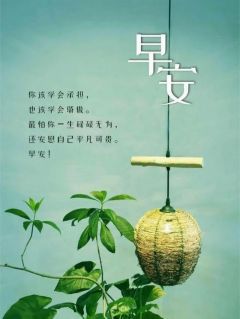 老婆不在家无广告阅读 小雨林悦苏瑶免费在线阅读-暗夜阅读网