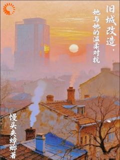 林晚苏漾小说旧城改造，她与她的温柔对抗完整章节