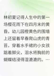 抖音爆款画布上的时光折痕小说免费阅读