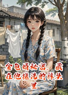 【新书】金龟婿秘密，藏在他搓洗的裤头里主角顾卫晓萍张磊全文全章节小说阅读-暗夜阅读网
