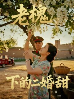 小满林月娥小说无广告阅读