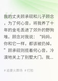 沐日海洋写的小说以念之名顾承砚何心音顾念全文阅读
