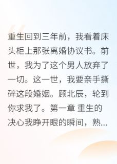 最新小说重生后，我让军区首长求而不得主角顾北辰苏婉儿舒雅全文在线阅读-暗夜阅读网