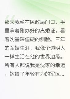 军嫂不当了，首长追妻火葬场大结局阅读 沈墨琛晚晴小说在线章节