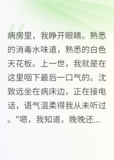 最完整版重生后直接提离婚，他傻眼了热门连载小说-暗夜阅读网