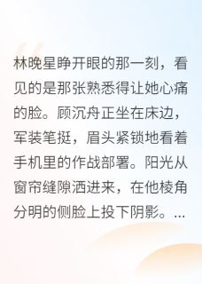 林晚星顾沉舟小说我给军区首长发了离婚协议全文阅读-暗夜阅读网