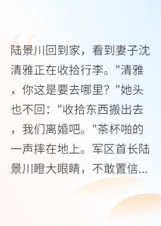 全章节小说前夫是首长，离婚后他慌了那个年纪最新阅读