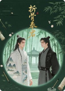 (抖音小说)叶怀瑾叶青缇小说全文阅读免费