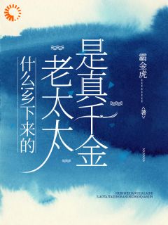 农村老太：我真不是你们家小姐！董婉霍临晨小说全文阅读