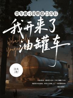 货车被刁民哄抢23次后，我开来了油罐车抖音全本小说龙莹莹艾洋抖音免费章节阅读