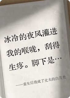 主角是陆沉渊苏晚的小说叫什么重生后我成了丈夫的白月光免费全文阅读-暗夜阅读网