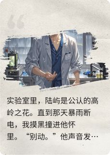 沈微陆屿章节免费阅读