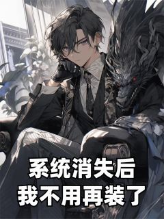 系统消失后，我不用再装了小说(完整版)-林婉清李明宇章节阅读-暗夜阅读网