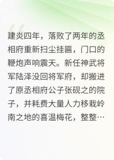 精选好书不言相思无删减版全文在线