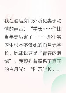 我用你的旧爱，报复你的新欢小说最新章节-主角吴梦陆沉全文免费阅读