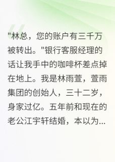 老公转走三千万后我发现他重婚了小说最后结局，江宇轩苏婉儿百度贴吧小说全文免费
