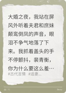 值得熬夜看完的新婚夜羞辱我，我找别人去！小说阅读