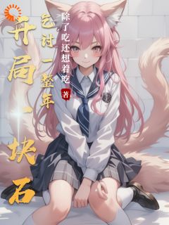 开局一块石乞讨一整年陆尘璃月免费全章节目录阅读
