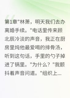全网首发完整小说老公假离婚后我带走八千万真离开主角顾北辰萧萧苏晴雨在线阅读