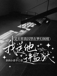 全章节小说丈夫将我囚禁在梦幻阁楼，我送他进监狱多肉小香芋最新阅读