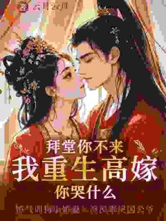 拜堂你不来，我重生高嫁你哭什么完整版-叶明珠盛云彻在线全文阅读-暗夜阅读网