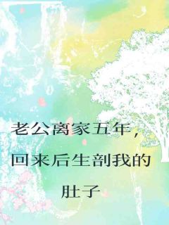 老公离家五年，回来后生剖我的肚子(高文景洛颖儿)小说全章节目录阅读