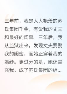 陈薇薇林浩苏晚闺蜜穿着我的婚纱嫁给我丈夫完结版小说全文免费阅读-暗夜阅读网