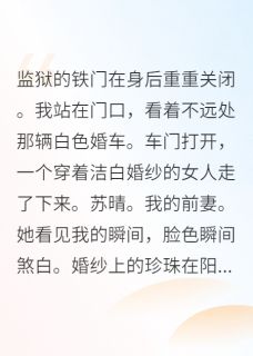 出狱那天,前妻穿着我仇人的婚纱苏晴张伟林浩-小说txt全文阅读