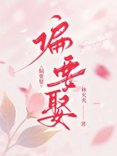 全章节小说偏要娶林火火最新阅读