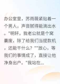 老婆要小三，我就送给她(苏雨薇赵明轩王磊)全文章节在线阅读