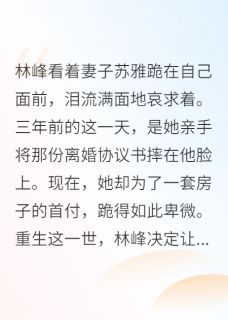 小说重生归来妻子的情夫给我下跪主角为苏雅钱浩免费阅读-暗夜阅读网