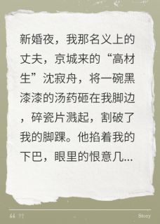 寂舟渡我：我用一生赌你爱我小说在线阅读，主角沈寂舟林晚意精彩段落最新篇