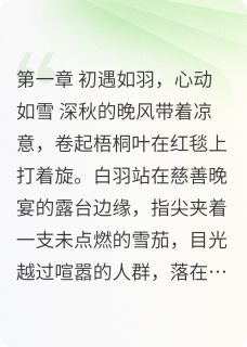 快手热推风雪同舟，羽落归巢小说主角白羽李玲雪羽星科在线阅读