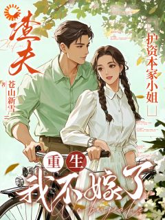 抢回来了军官他非要跟我结婚怎么办by苍山新雪(沈清禾霍砚修)未删节免费阅读
