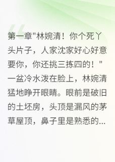 主角是林婉清沈毅轩的小说叫什么军嫂转身带走千万资产我后悔了免费全文阅读-暗夜阅读网
