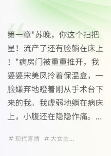 流产当天，婆婆带新人上门在线阅读 陈浩明宋美凤苏晚免费小说精彩章节